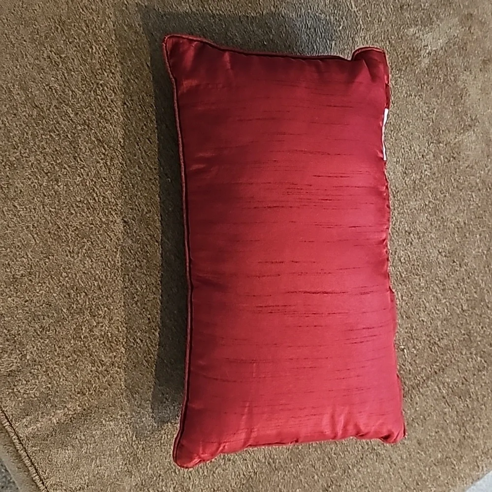Embroidered accent pillow from kohls